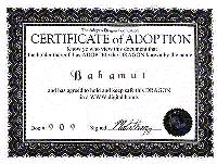 Bahamut's certificate